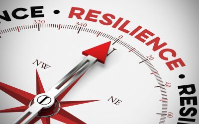 Resilience: A Necessary Quality for Leaders